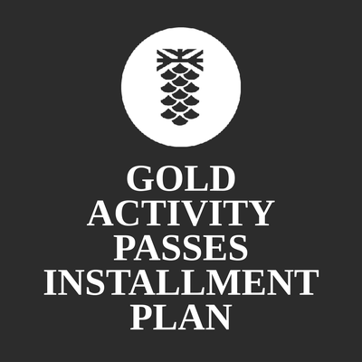 Gold Activity Passes - Installment Plan